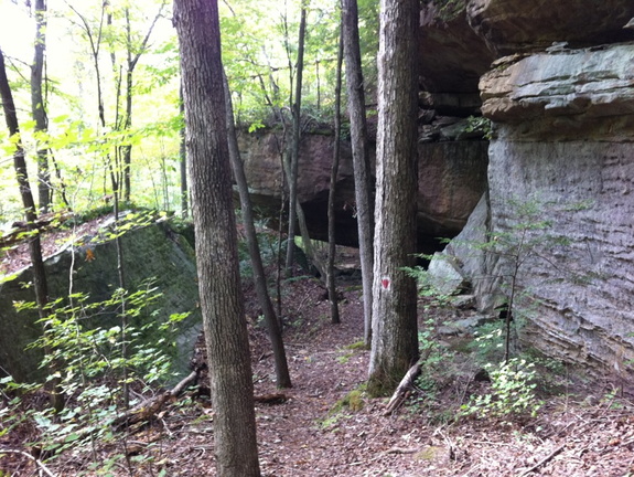 Blue Heron Loop, Big South Fork